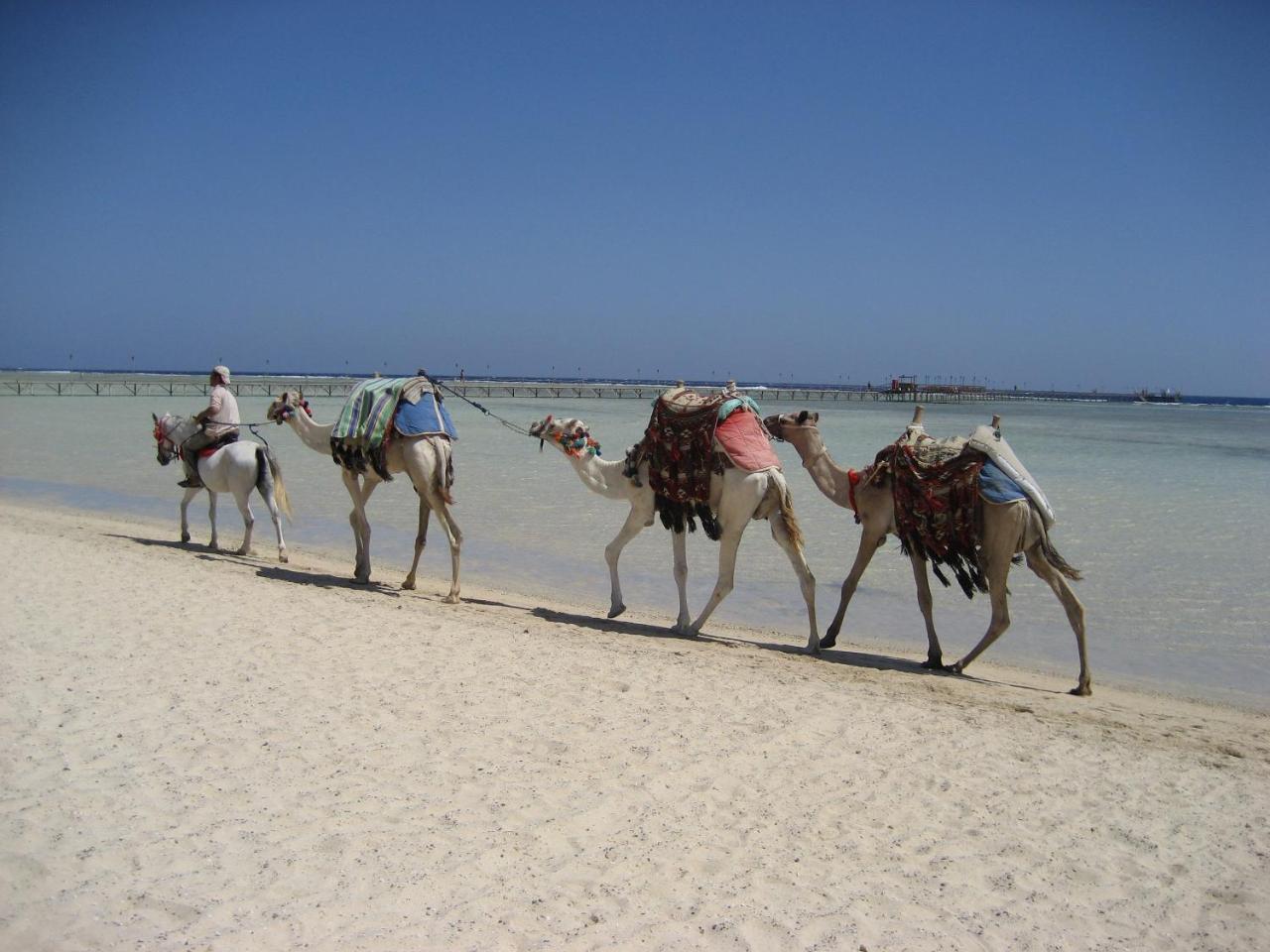 Bliss Marina Beach Resort Marsa Alam Exterior foto